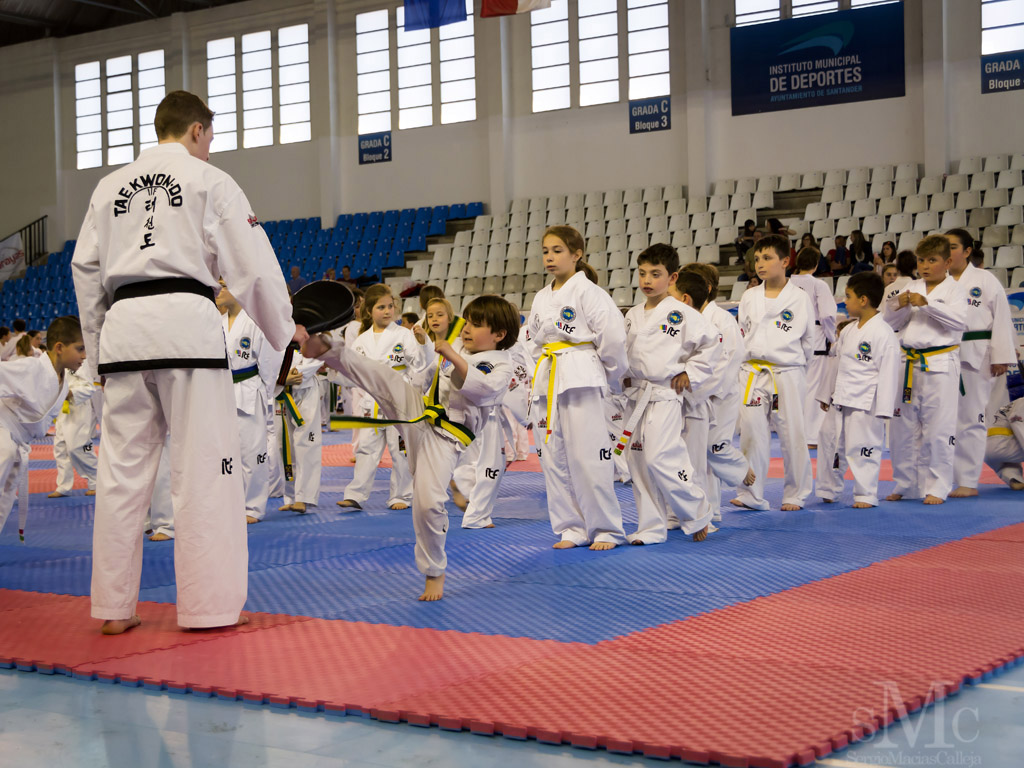 DIA DEL TAEKWONDO ABRIL 2017_3796.JPG